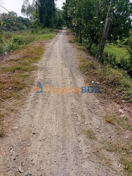 Đất nền Phú Quý Cai Lậy 20.000m² 6 tỷ - Tiềm năng tăng giá