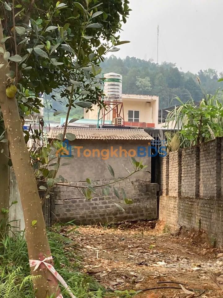 Đất nền TL156 Bát Xát 80m² 1.2 tỷ - Sổ đỏ chính chủ