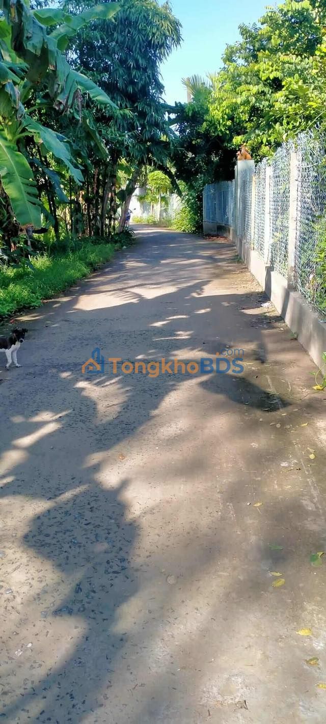 Đất vườn Trường Lạc Ô Môn 3610m² giá 2.166 tỷ - Sinh thái xanh