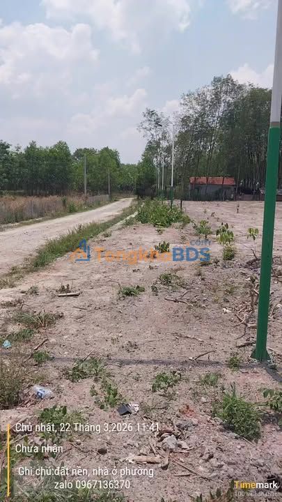 Đất Phúc Hưng Gold Thuận An 200m² 299 triệu - Hạ tầng hoàn thiện