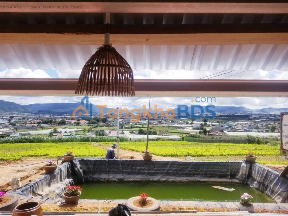 Đất nền Quảng Lập 2268m² 4.725 tỷ - Pháp lý rõ ràng