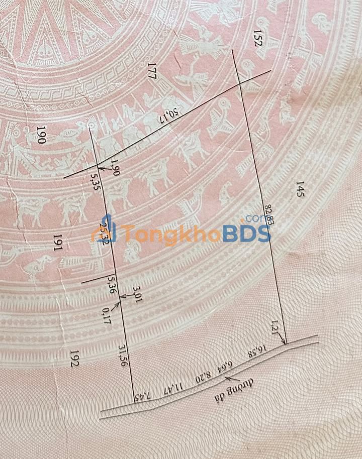 Đất nền Gò Công Đông Tiền Giang 3.900m² 2 tỷ - Sổ đỏ chính chủ