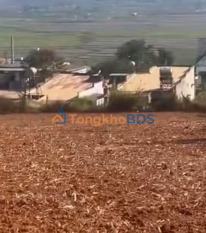 Đất DH14 Đơn Dương 2200m² 800 triệu - Sổ đỏ chính chủ