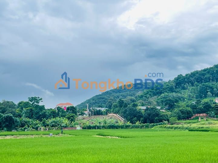 Đất nền Hoa Sơn Sóc Sơn 200m² sổ đỏ chính chủ