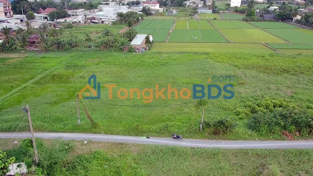 Đất vườn Bình Mỹ 1.250m² giá 5,5 tỷ - Hạ tầng hoàn thiện