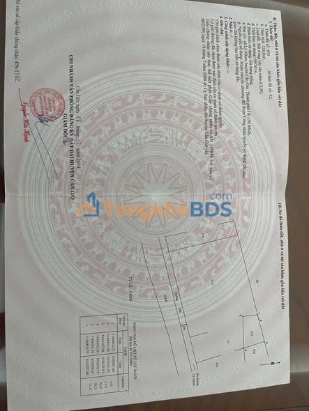 Đất nền Đường số 1 Lý Nhơn 7.500m² 19.5 tỷ - An yên tĩnh lặng