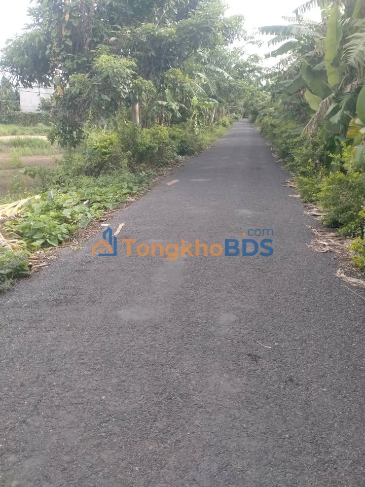 Đất nền Tân Nghĩa Cao Lãnh 215m² 530 triệu - Đường ô tô