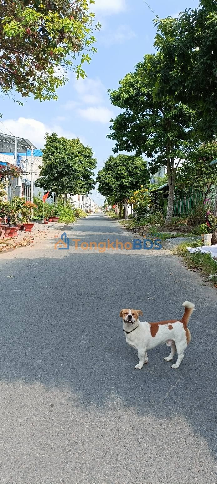 Đất nền Vĩnh Long Khu Minh Linh 90m² - Sổ đỏ chính chủ