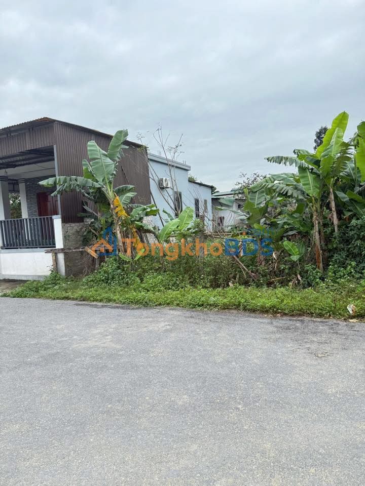 Đất Nghi Thịnh 173m² 1.9 tỷ - Đường ô tô tránh