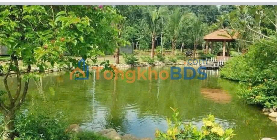 Khu kinh doanh QL1A Phan Rang 3.000m² 31 tỷ - MT KD