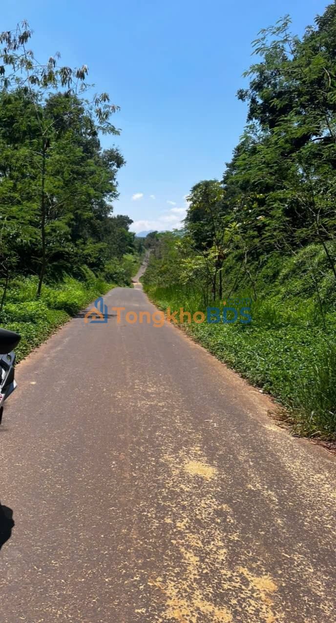 Đất nền Phường 1 Bảo Lộc 1.260m² 2,8 tỷ - Sổ đỏ chính chủ