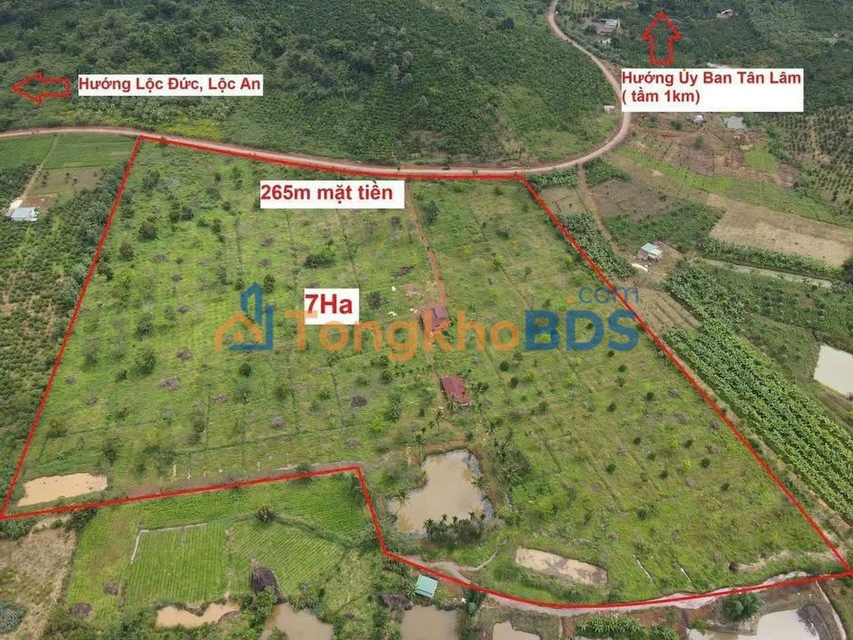 Farm Tân Lâm Di Linh 4.6ha 34.5 tỷ - Sổ đỏ sẵn