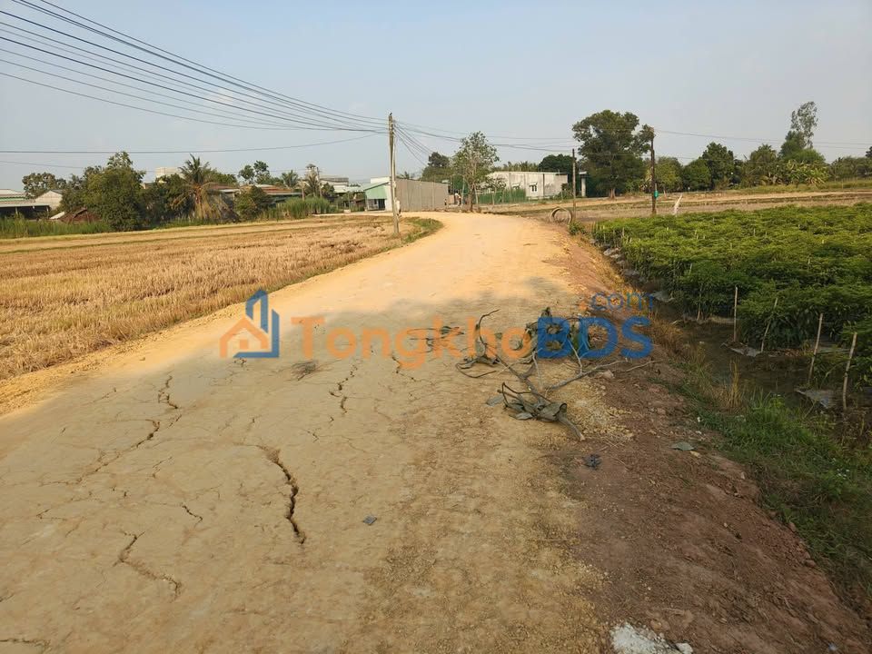 Đất nền Long Thuận Tây Ninh 249m² 255 triệu - Sổ đỏ chính chủ