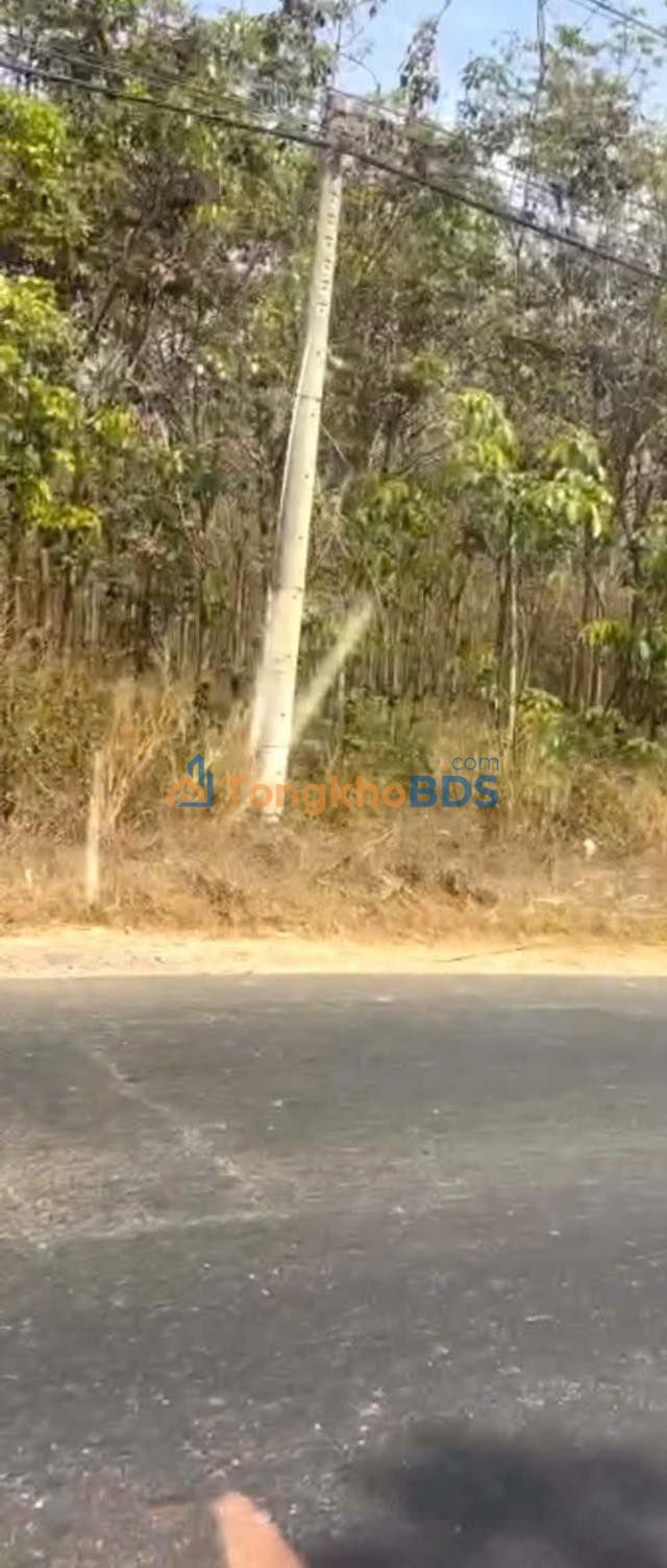 Đất nền Mỏ Công Tân Biên 31.000m² 9,92 tỷ - Đường to ô tô