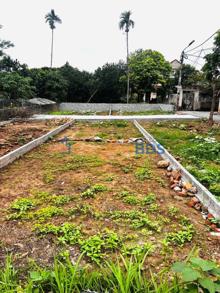 Đất nền An Tảo Hưng Yên 67m² 3 tỷ - Hạ tầng hoàn thiện