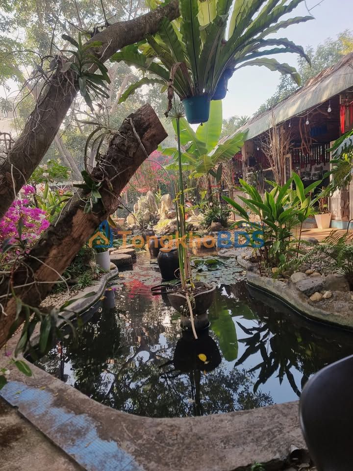 Đất nền QL14 Cư Bao 200m² 3 tỷ - Đường to ô tô