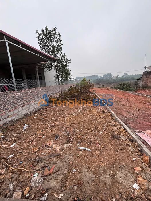 Đất nền Ngọc Thiện Tân Yên 130m² thỏa thuận - Sổ đỏ chính chủ