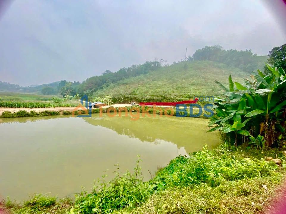 Đất nền Đại Đồng 1.588m² 180 triệu - Pháp lý rõ ràng