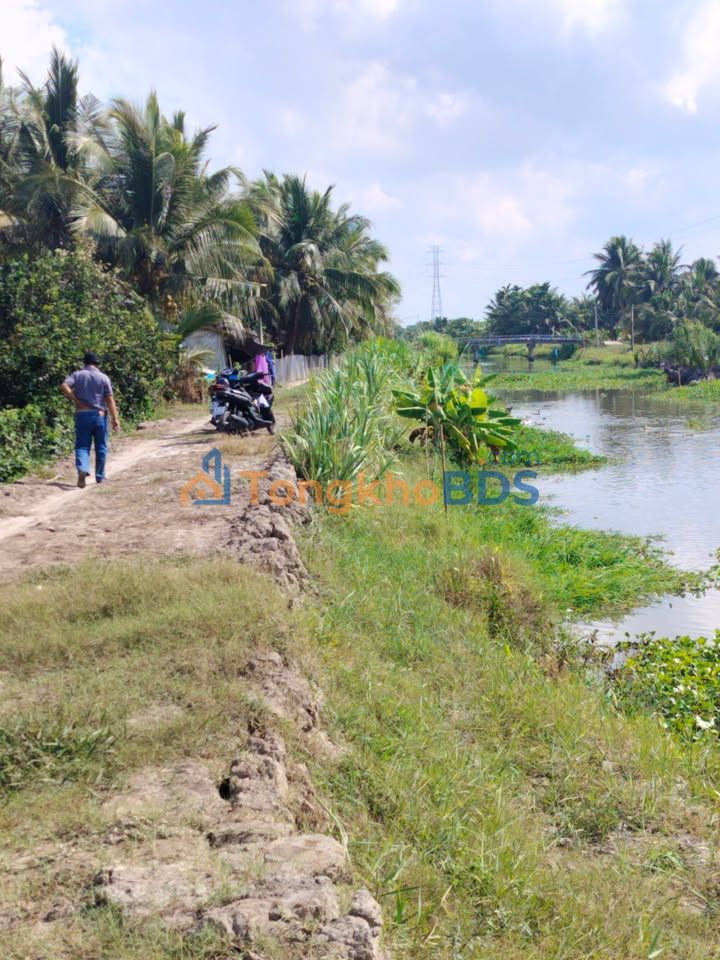 Đất nền Càng Long 7.000m² 5.6 tỷ - Hạ tầng hoàn thiện