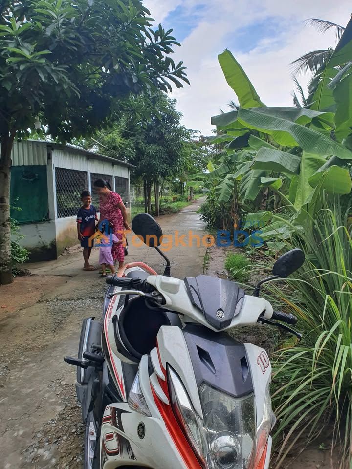 Đất nền Trần Đề 1.600m² giá mềm - Đường to ô tô