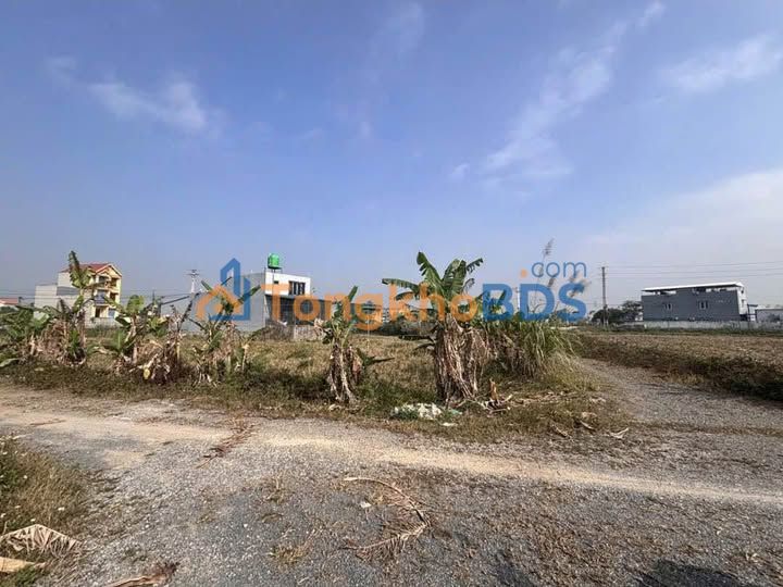 Đất nền Hậu Lộc 196m² 1 tỷ - Sổ đỏ chính chủ xây tự do