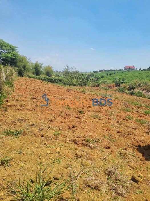 Đất vườn Thôn 13 P.2 Bảo Lộc 1080m² 1.3 tỷ - Sinh thái xanh