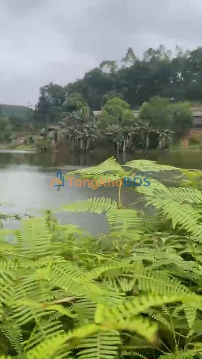 Đất vườn Ninh Dân 4ha ĐT311 - Sổ đỏ chính chủ