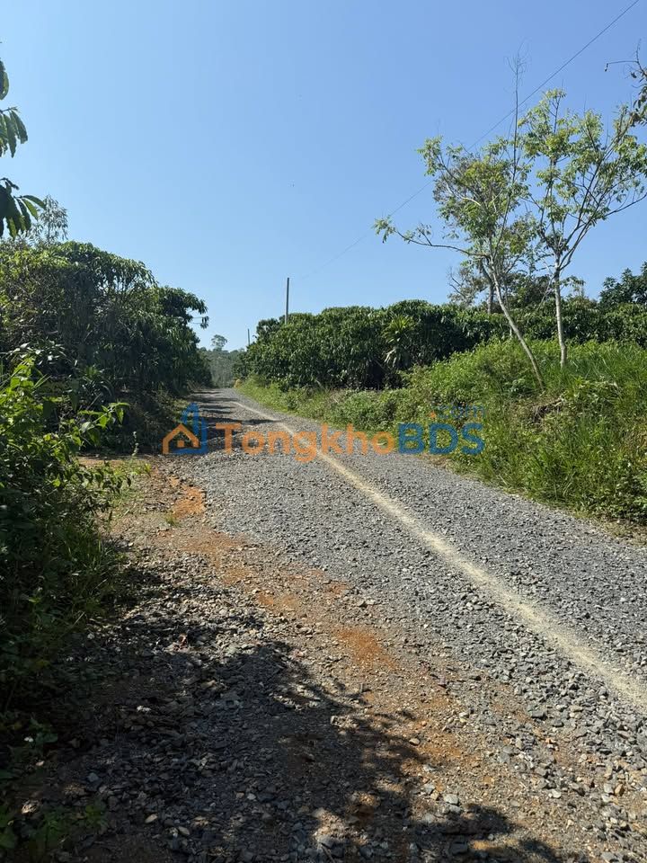 Đất nền Lộc Thanh 155m² 570 triệu - Sổ đỏ chính chủ