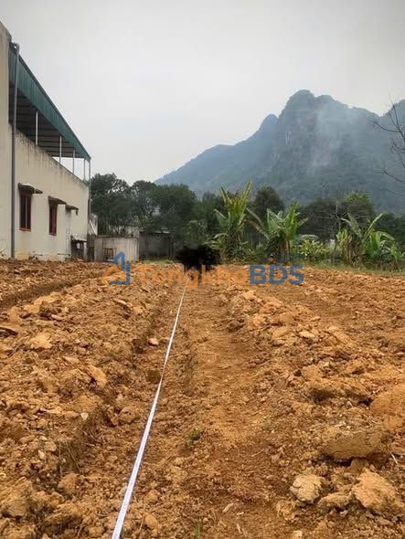 Đất Ngõ 60 Thái Hà Hà Giang 980 triệu - Sổ đỏ chính chủ