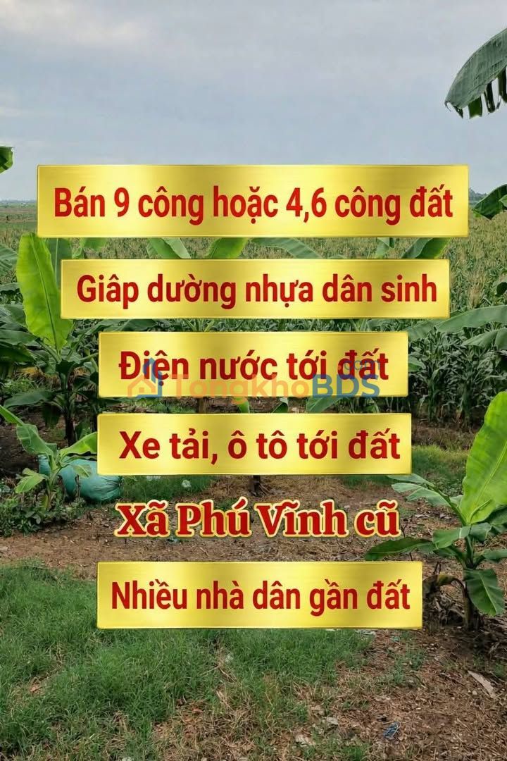 Land Phú Vĩnh Tân Châu 8.983m² 5.3898 tỷ - Sổ đỏ chính chủ