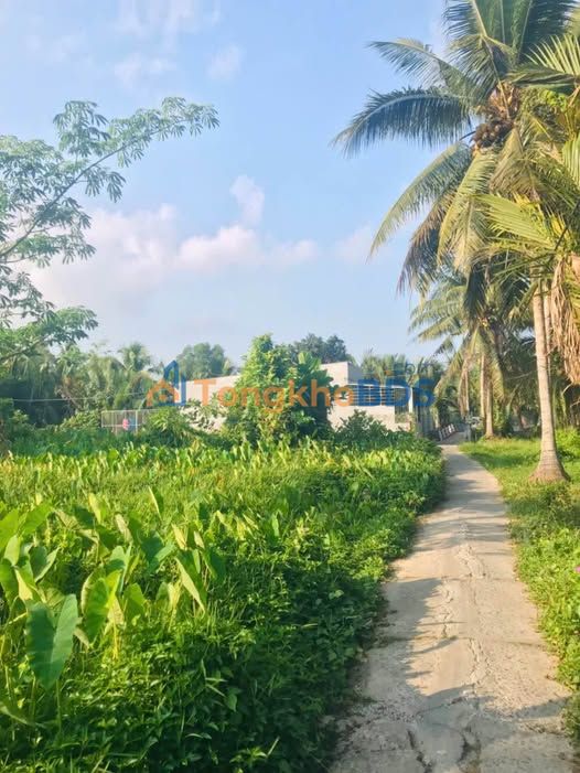 Đất nền Sơn Phú Giồng Trôm 169m² 300 triệu - Đường to ô tô