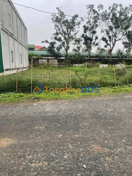 Đất nền Đường N5 Cửa Lò 229m² 2.29 tỷ - Sổ đỏ chính chủ