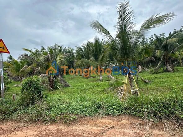 Đất nền Trà Vong Tân Biên 145m² 200-299tr - Đất thổ cư 100%