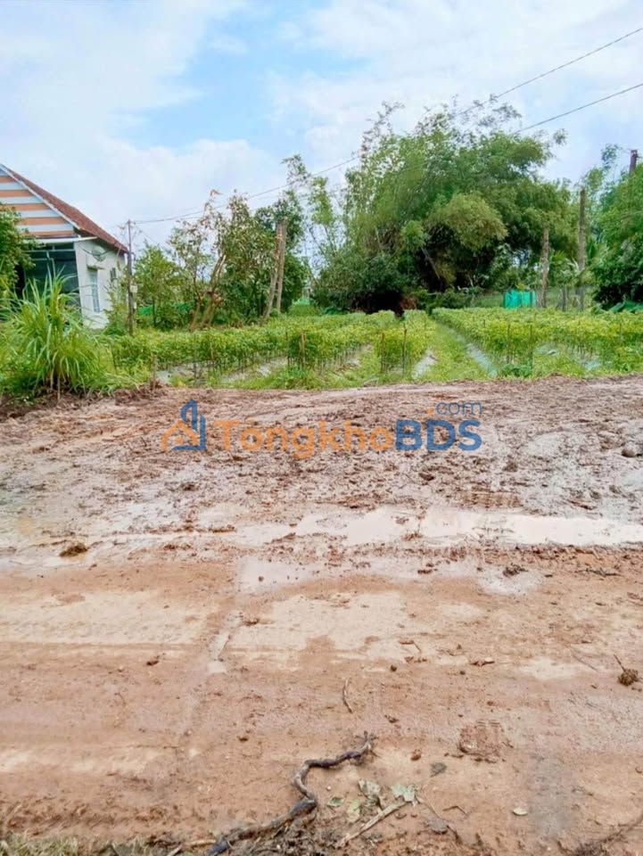 Đất nền Phù Cát 175m² giá 3xx triệu - Sổ hồng rõ, xây dựng tự do