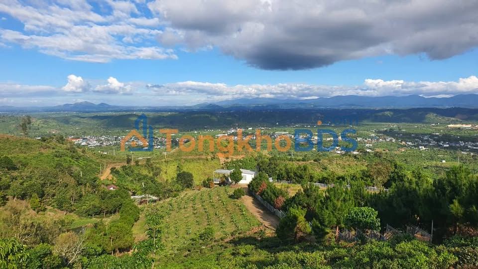 Đất nền Lộc Thành Bảo Lâm 500m²/450 triệu - Sổ đỏ chính chủ