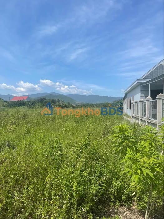 Đất nền Diên Toàn 2.200m² giá 800 triệu - Sổ đỏ chính chủ