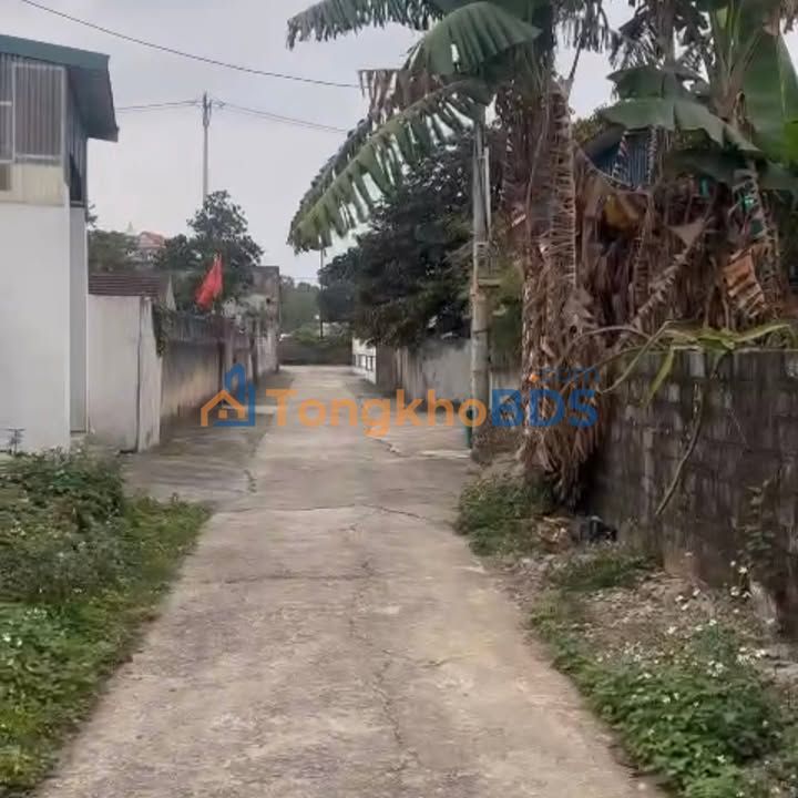 Đất nền Tam Điệp 113m² 800 triệu - Đường to ô tô