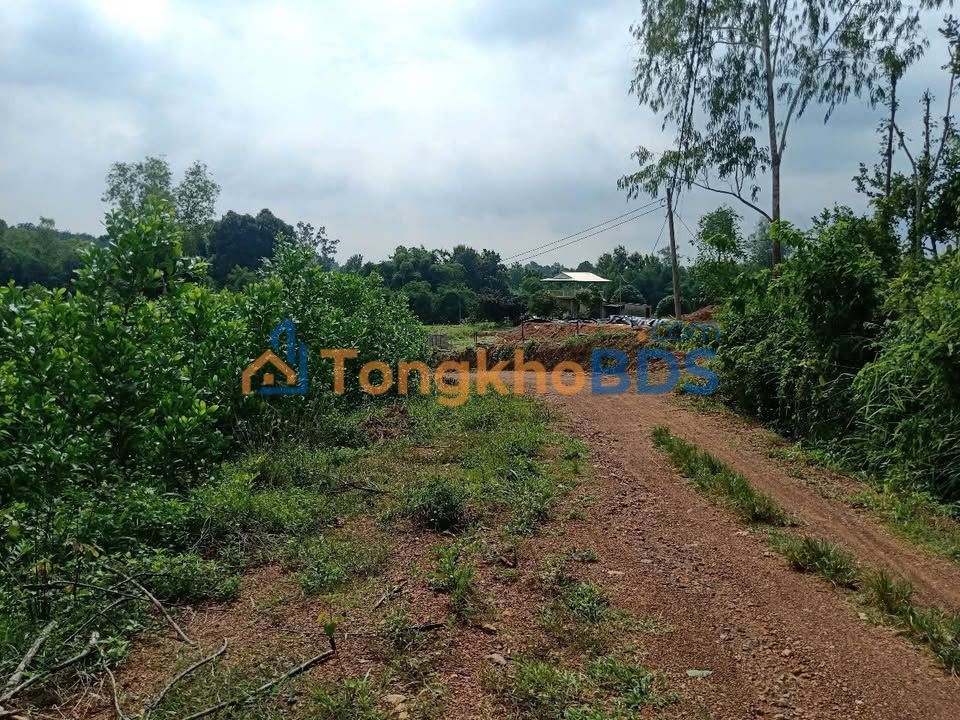 Đất vườn Phú Túc Đồng Nai 7,5ha 17,25 tỷ - Sinh thái xanh