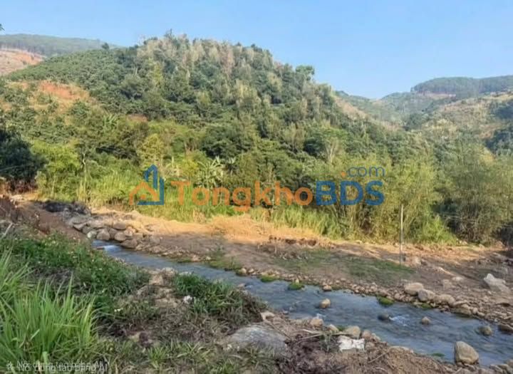 Đất nền Phường 5 Đà Lạt 1000m² giá 699 triệu - Đường ô tô vào đất