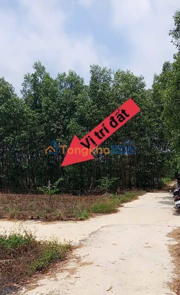 Đất nền Nhơn Trạch Vĩnh Thanh 1.012m² 3 tỷ - Sổ đỏ chính chủ