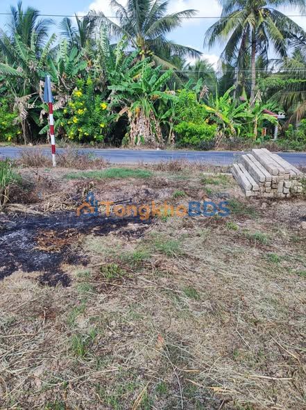 Đất nền TL 877B Tân Thới 214m² 950 triệu - Sổ đỏ