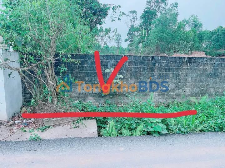 Đất Tam Dương Đạo Tú 346m² 1.48 tỷ - Thổ cư 100%