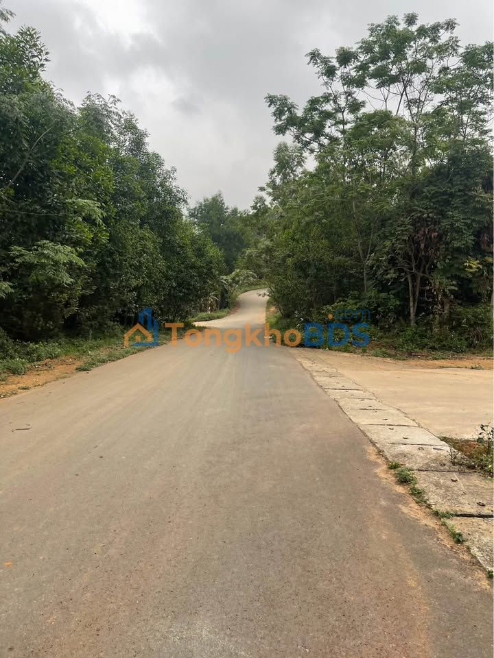 Đất nền Phù Ninh Phú Thọ 400m2 - Đường ô tô