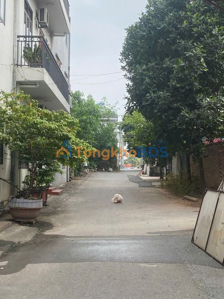 Nhà 2 tầng Thọ Sơn Việt Trì 81m² 4 tỷ - Chính chủ bán