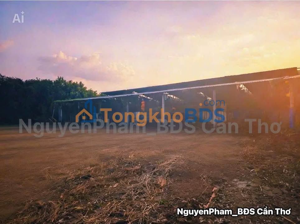 Đất vườn An Bình Cần Thơ 2.638m² 5.276 tỷ - Đầu tư dài hạn