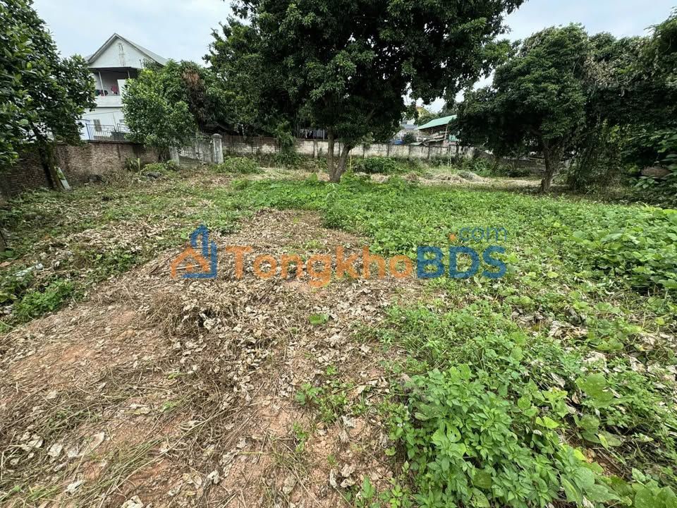 Đất Phong Châu Phù Ninh 221m²+848m² giá 900 triệu/2 tỷ - Sổ đỏ chính chủ
