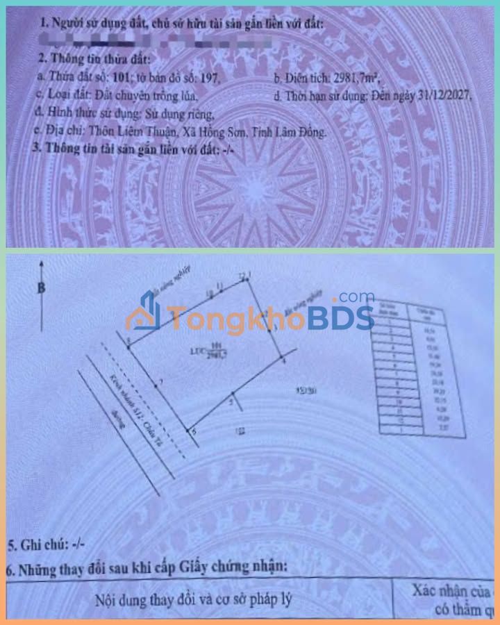 Đất nông nghiệp Hồng Sơn 2.982m² 300 triệu - Đường to ô tô