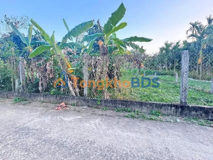 Đất nền Tư Nghĩa 135m² 500 triệu - Tiềm năng tăng giá