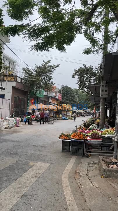 Đất nền Vĩnh Tường 125m² giá thỏa thuận - Đầu tư sinh lời