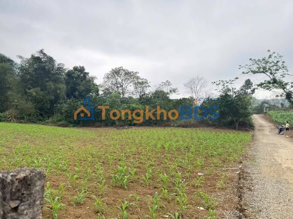 Đất nền Đà Bắc Hòa Bình 4.143m² giá 1 tỷ - Sổ đỏ chính chủ